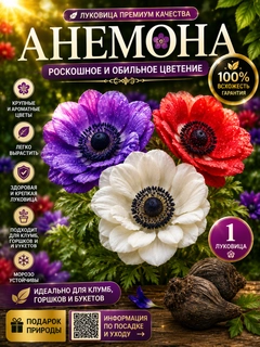 Кремовый
