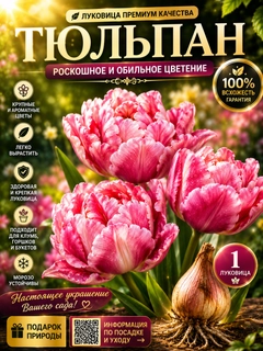 Прозрачный