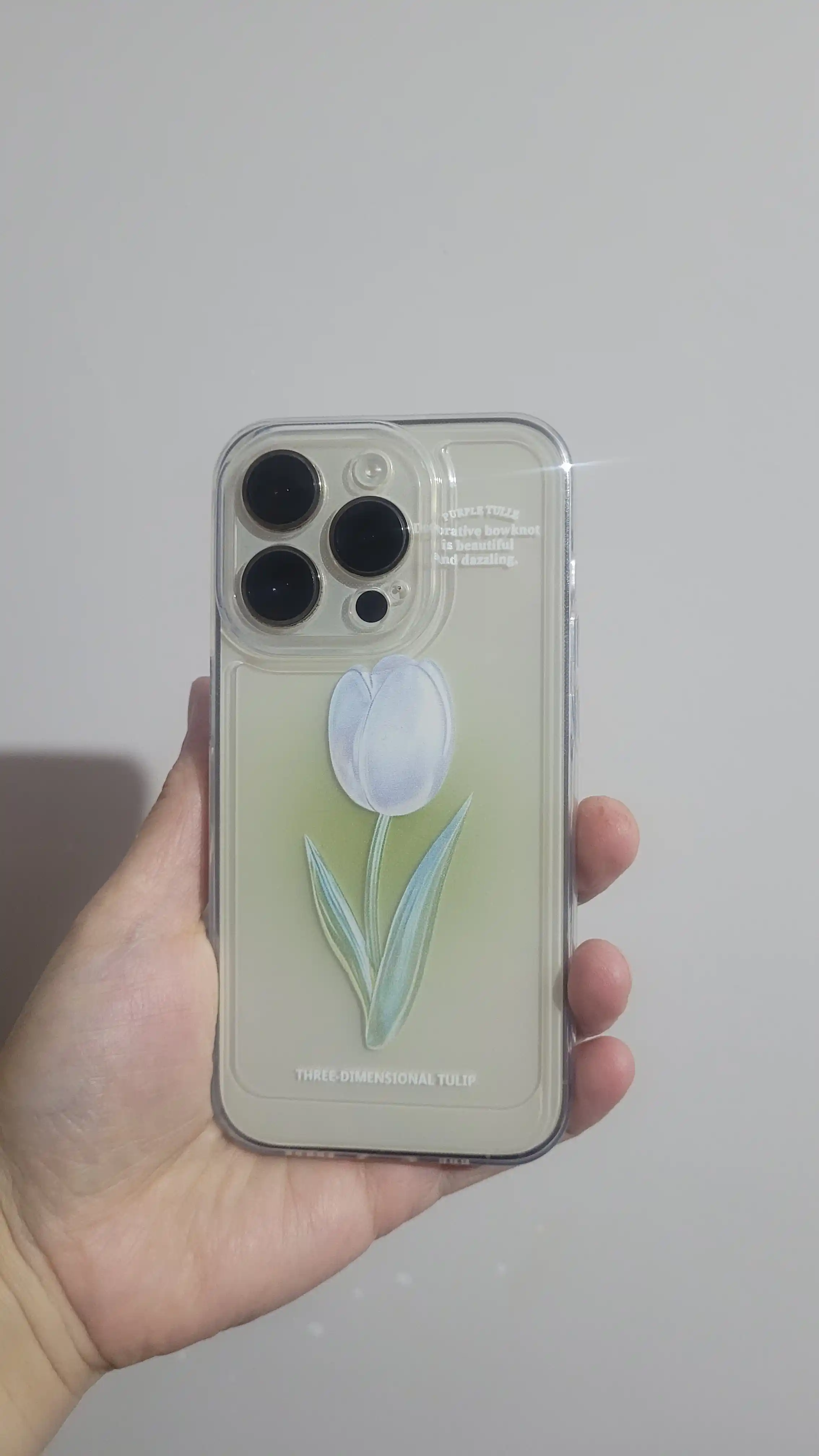 Чехол на iPhone 11, 12, 13, 14, 15, 16, 17, Pro, Pro Max