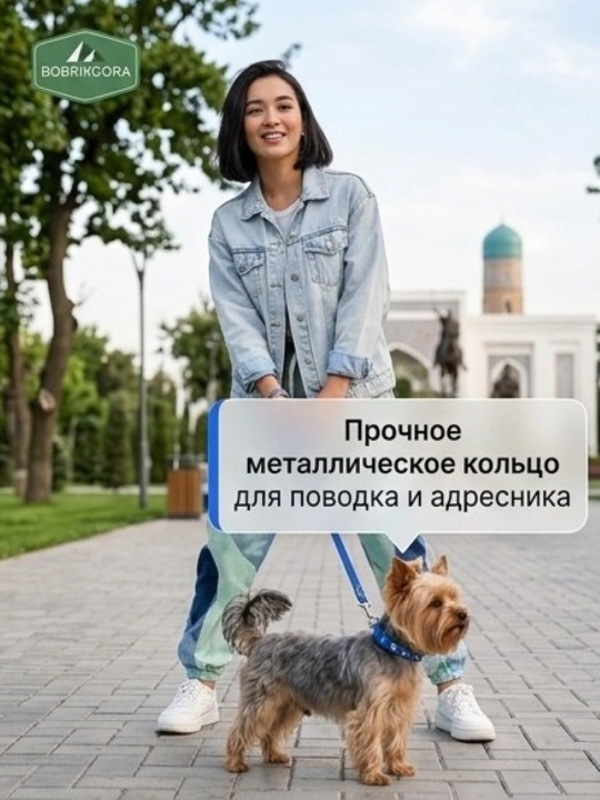 Ошейник для кошек и маленьких собак с бубенчиком и принтом лапки