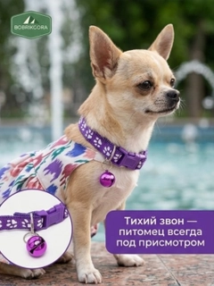 Фиолетовый