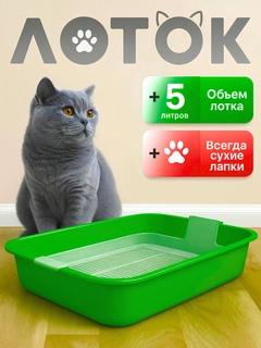 Лайм