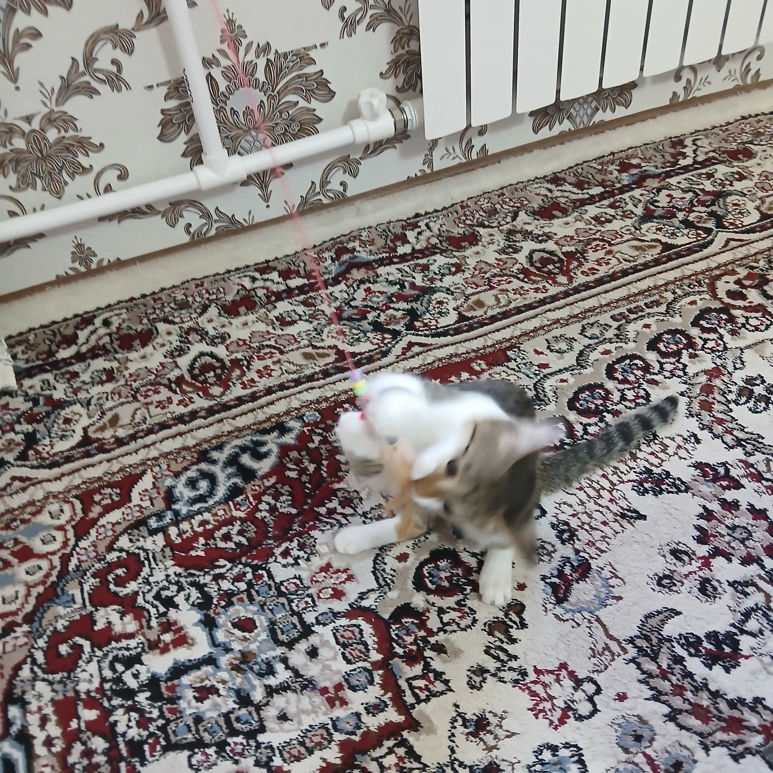 Интерактивная игрушка для кошек