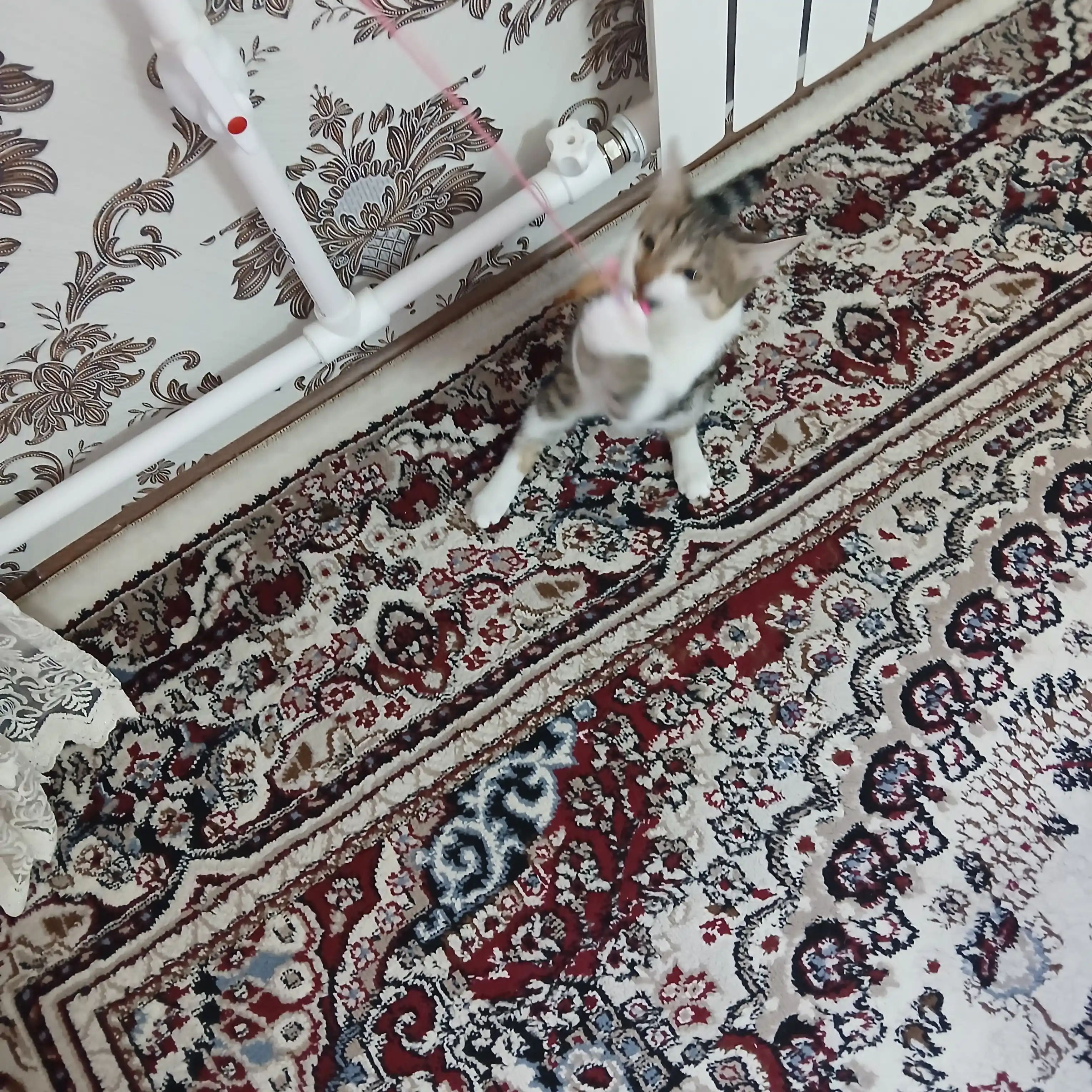 Интерактивная игрушка для кошек