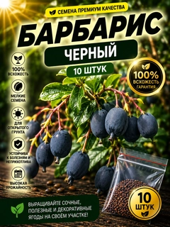 Фиолетовый