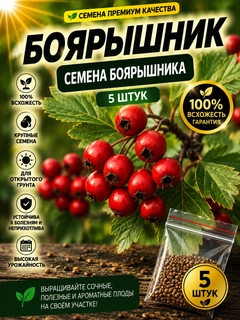 Марсала