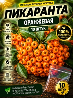 Оранжевый
