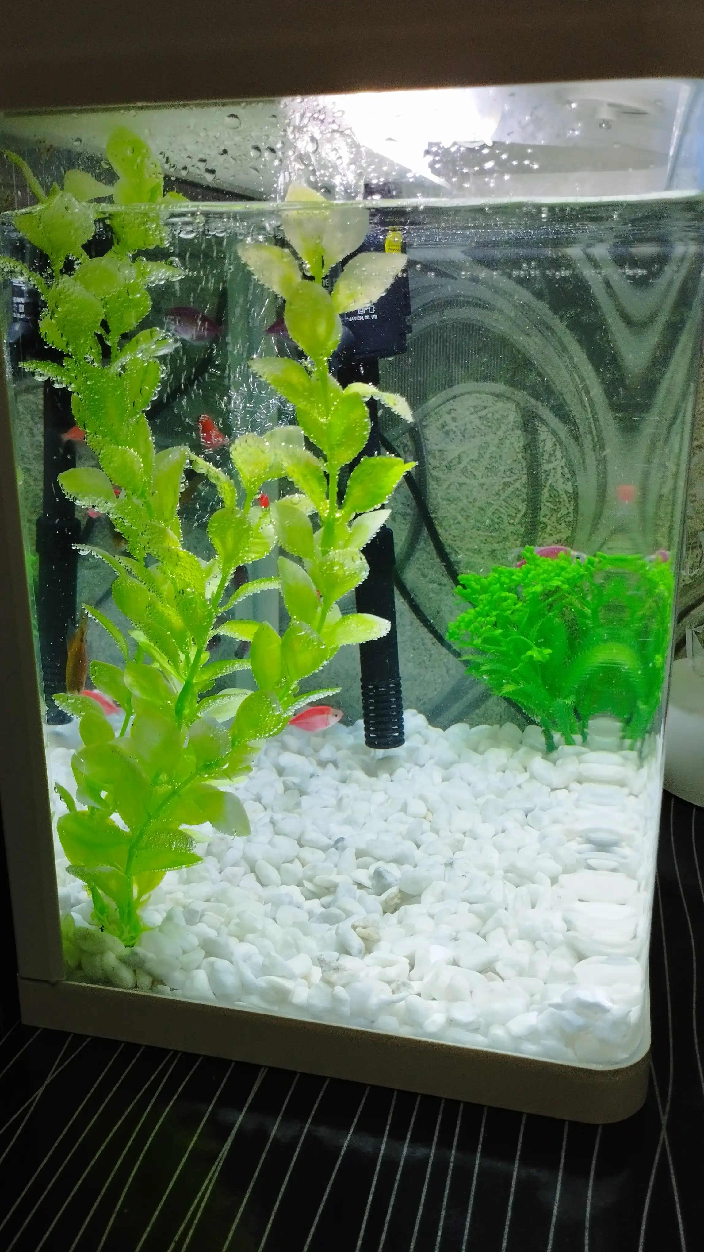 Akvarium, baliqlar uchun, uyda, filtr va lampalari bilan