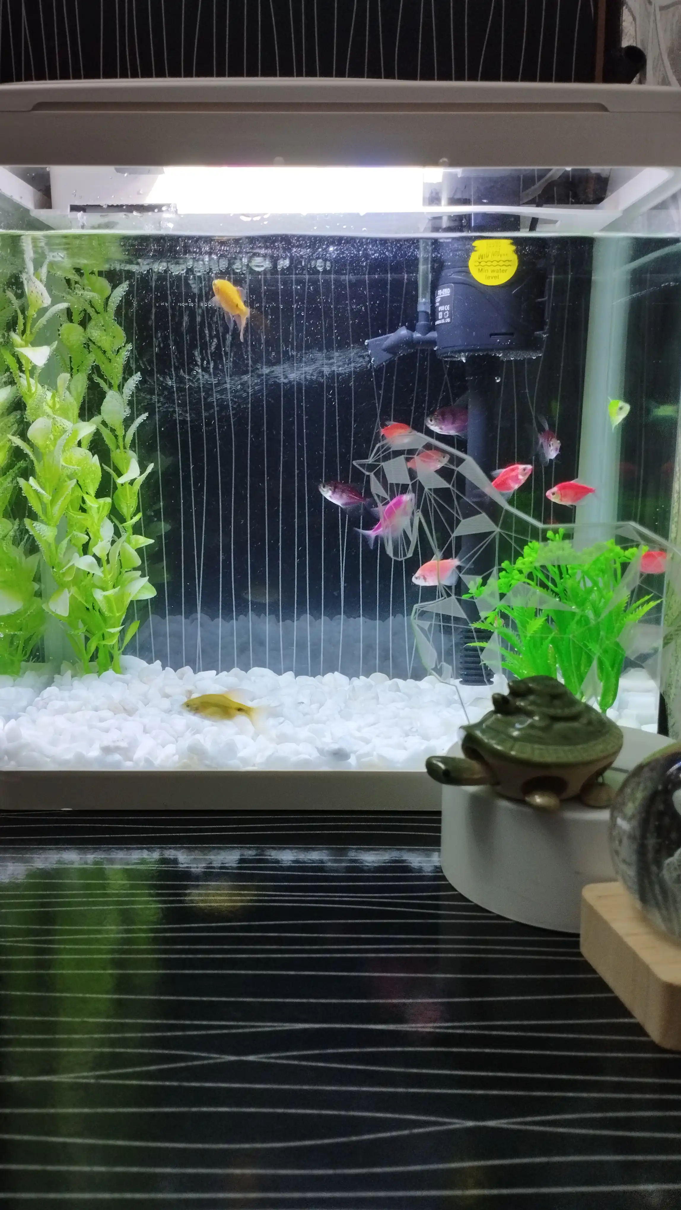 Akvarium, baliqlar uchun, uyda, filtr va lampalari bilan