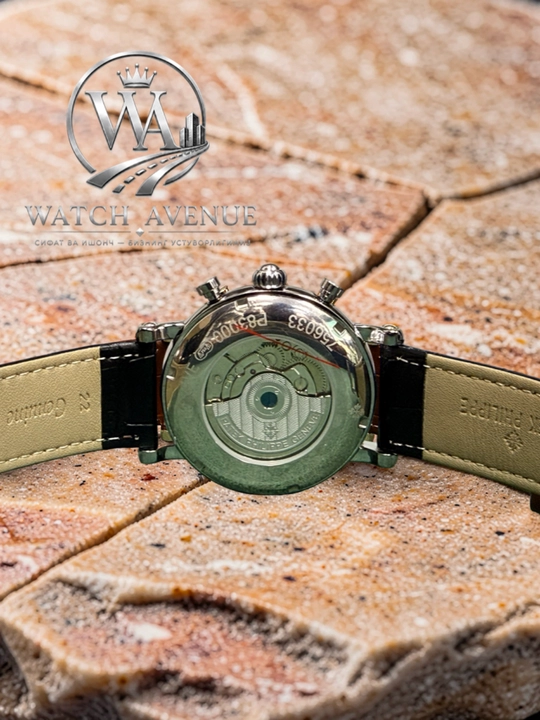 Patek Philippe Complications Automatic Silver — часы с 4 функциями