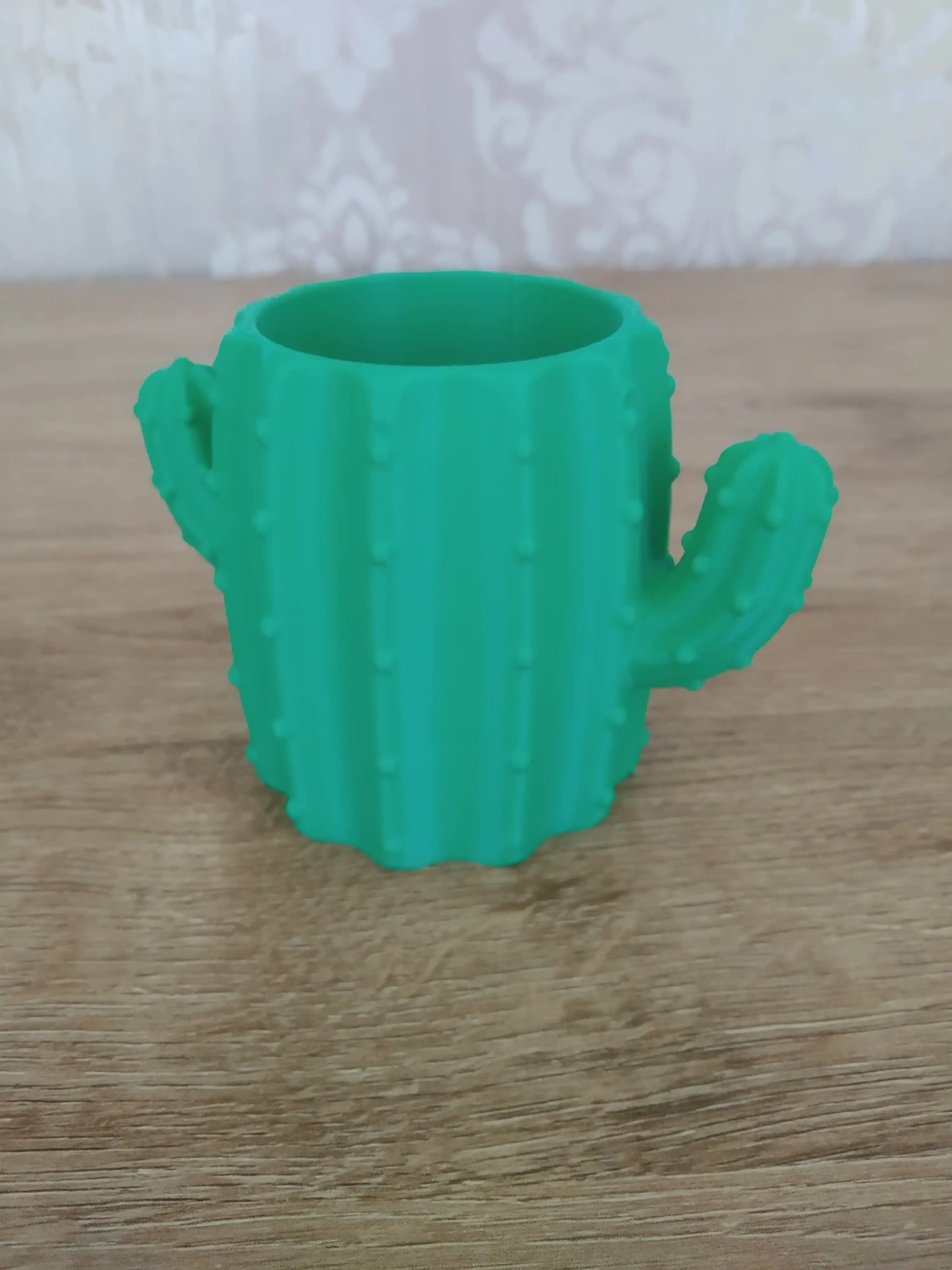 Ruchka va qalamlar uchun Kaktus stol organayzeri, 3D bosma