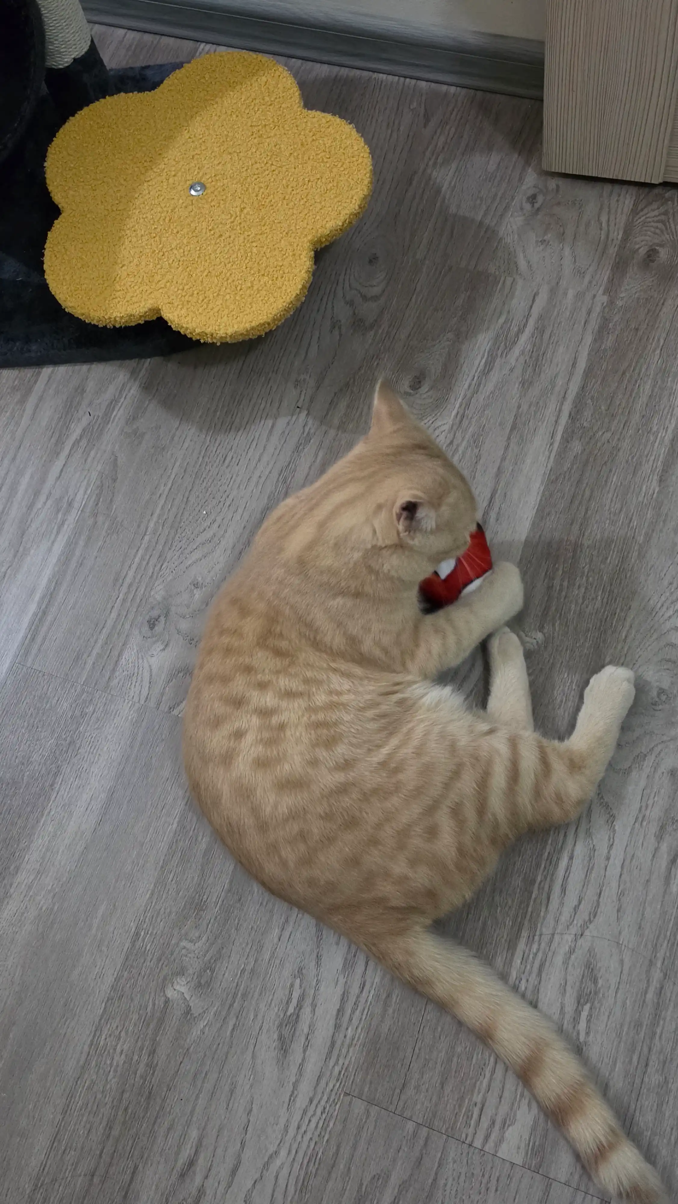 Игрушка для кошек рыбка BOBRIKGORA с кошачьей мятой и валерианой