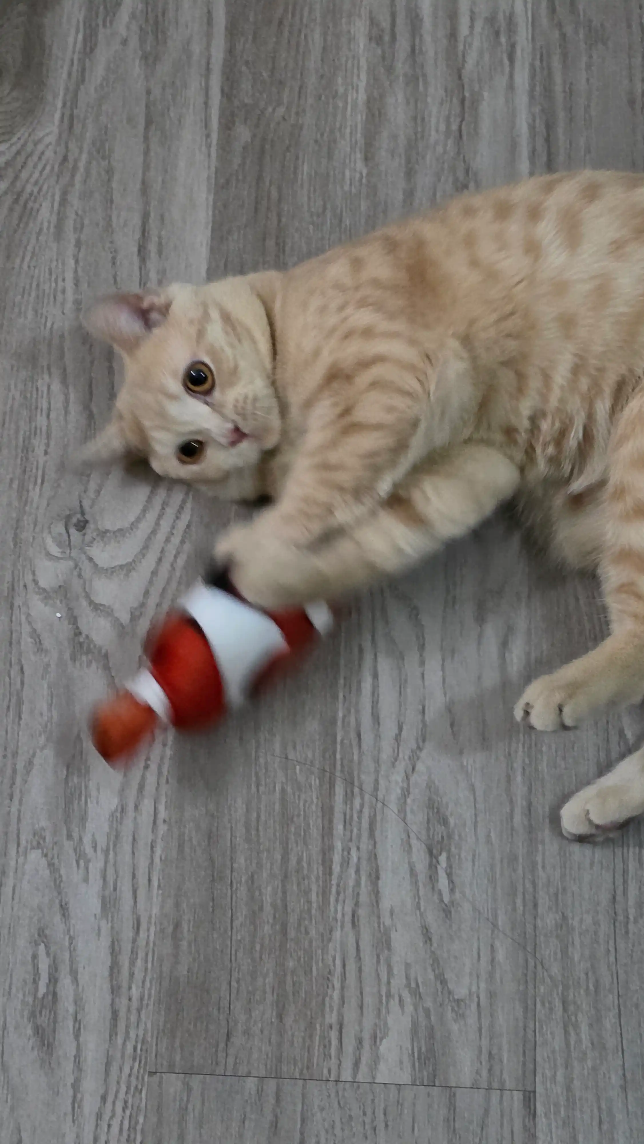 Игрушка для кошек рыбка BOBRIKGORA с кошачьей мятой и валерианой