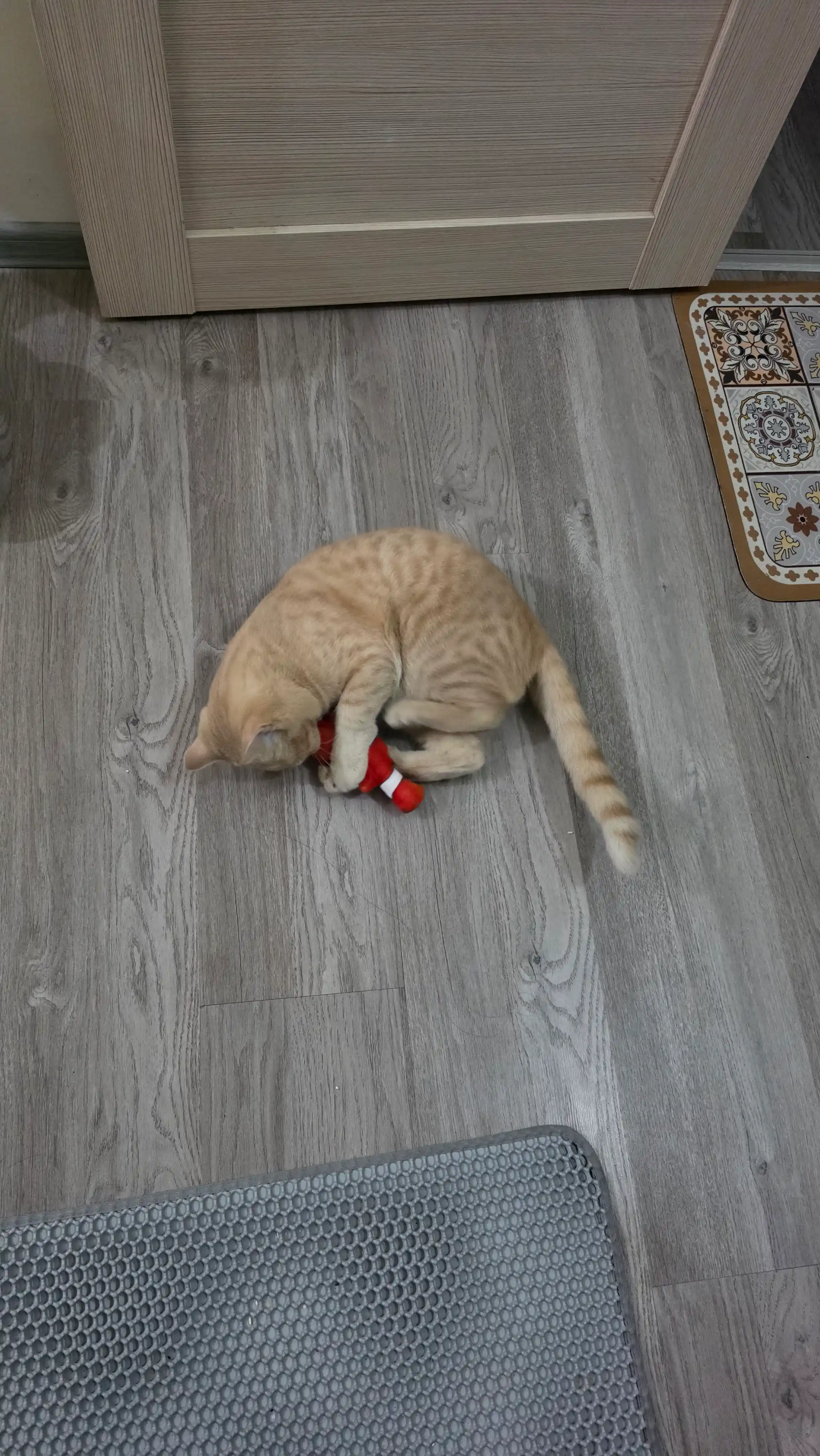 Игрушка для кошек рыбка BOBRIKGORA с кошачьей мятой и валерианой