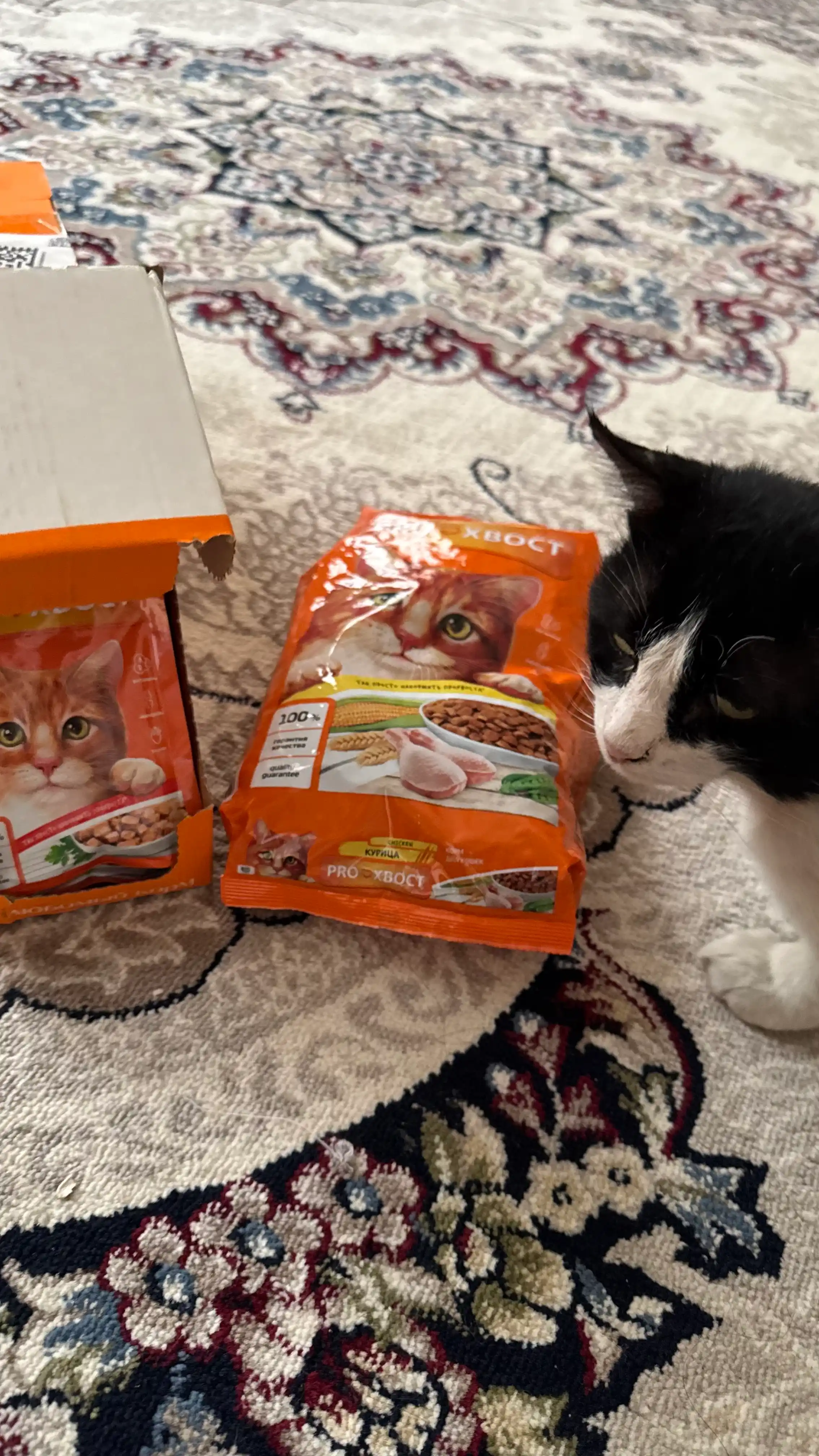 ProХвост сухой корм для кошек, курица, 800 гр