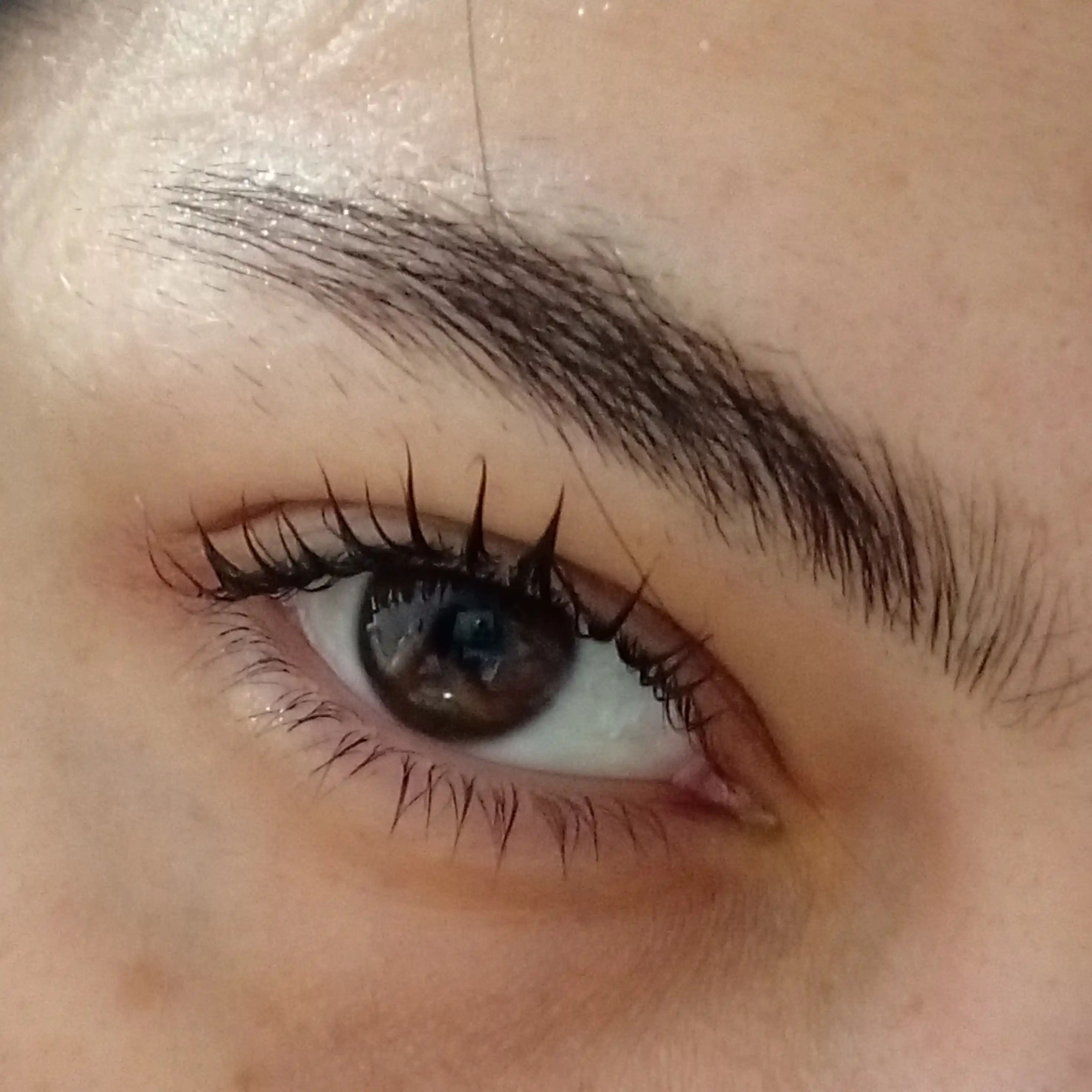 Набор для ламинирования ресниц и бровей, Esqido Lash Lift