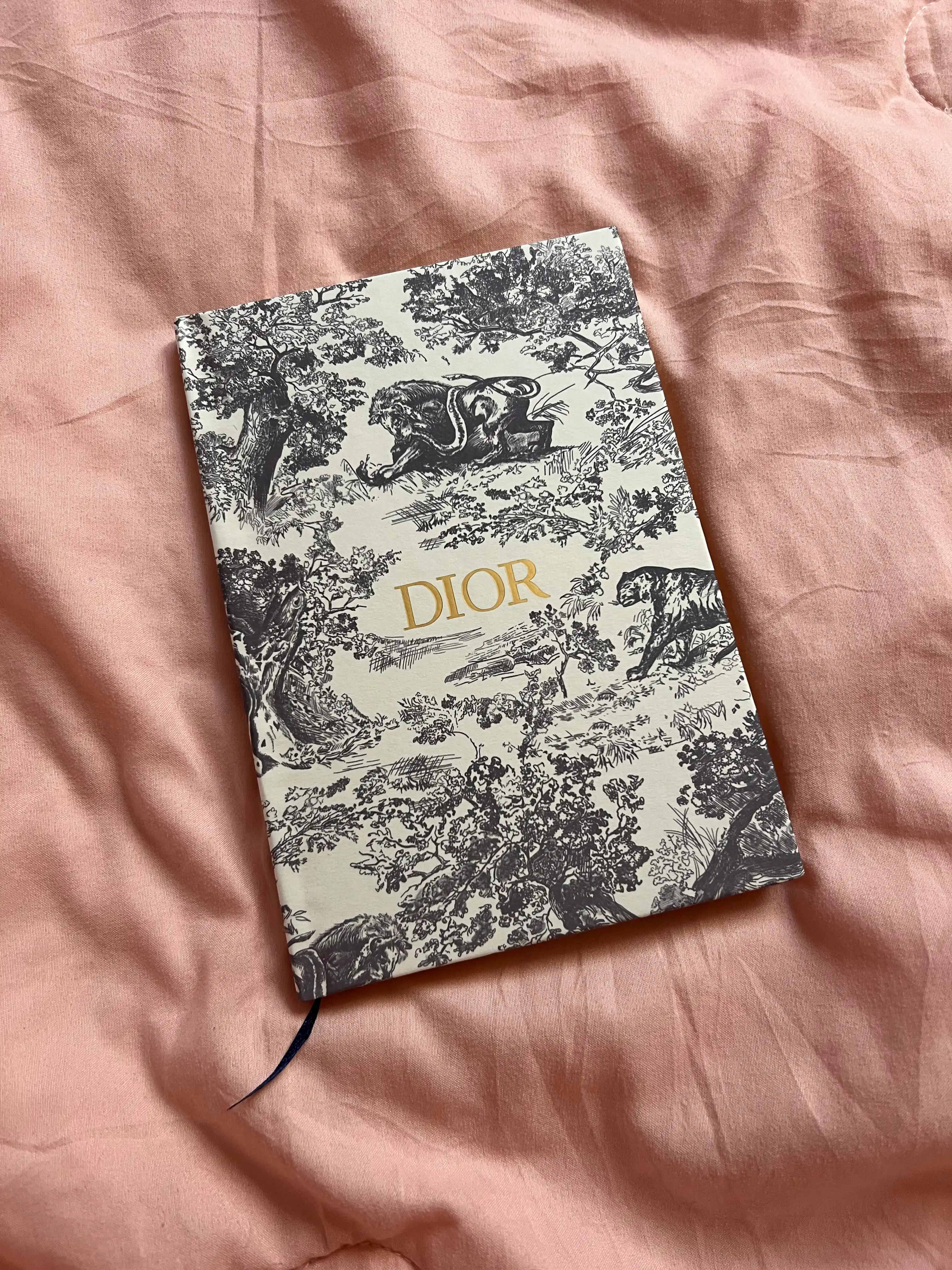 Блокнот Dior, дневник Dior
