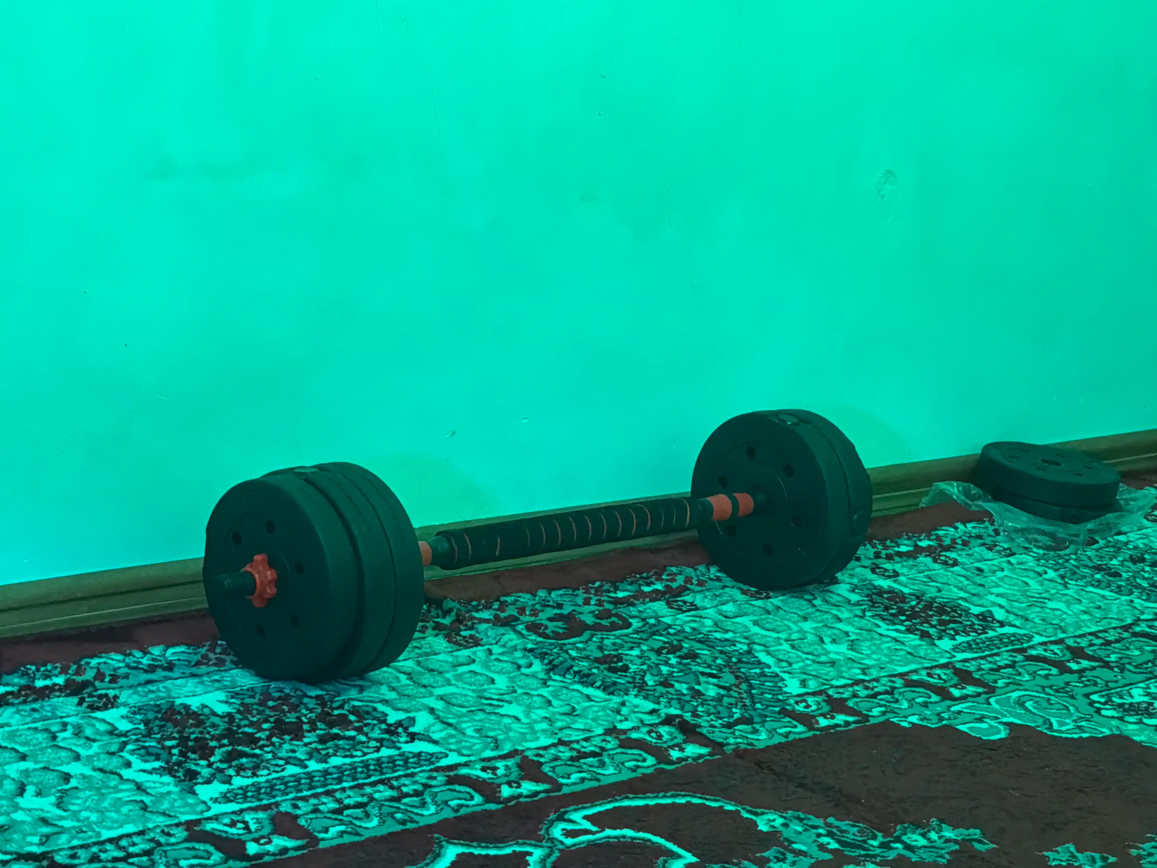 Yig'ma gantellar to plami va shtanga, gantel nabor 15 kg - 30 kg