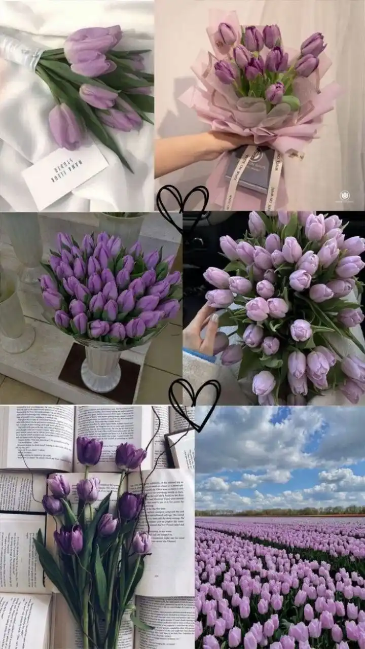 Машина для удаления катышков с одежды, оборудование Katushka