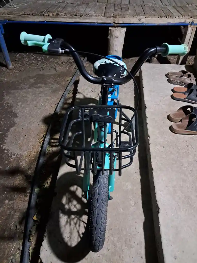 Детский велосипед PENTRO BMX-kids