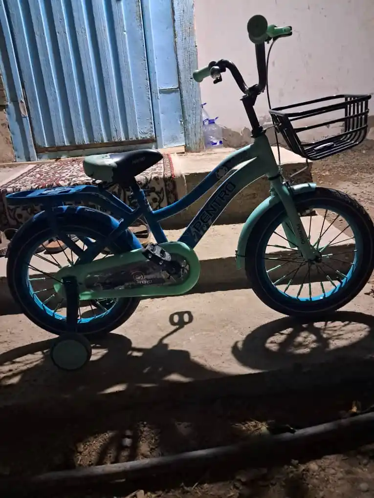 Детский велосипед PENTRO BMX-kids