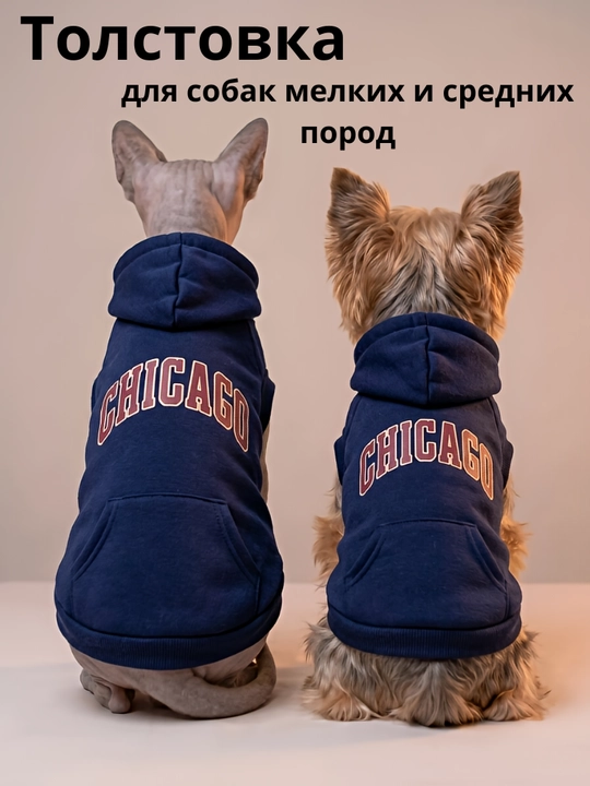 Толстовка для собак и кошек с капюшоном