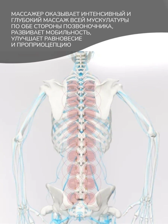 Mobillik va massaj uchun SPINEFITTER by SISSEL trenajyori