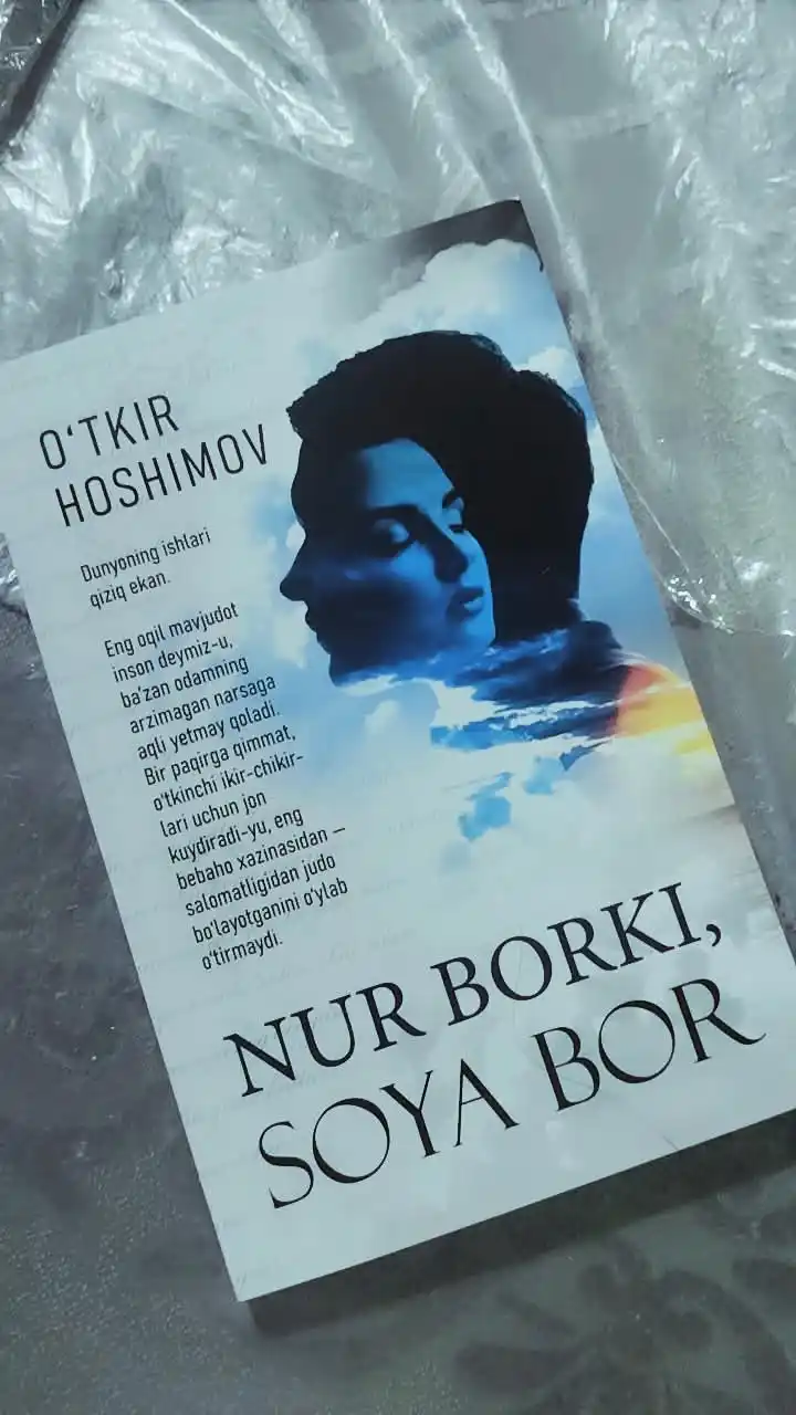 Нур борки, соyа бор