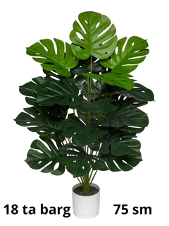 Koʻk