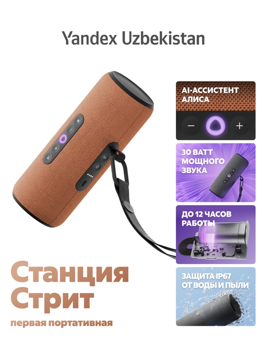 Портативная умная колонка Яндекс станция стрит с алисой - 