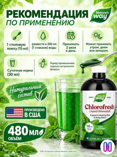 Nature’s Way, Chlorofresh® yalpiz ta’mli suyuq xlorofill, 480 ml