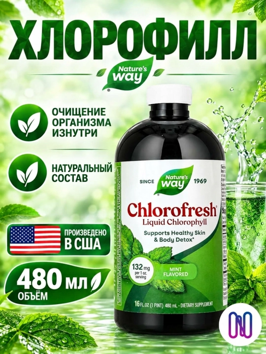 Nature’s Way, Chlorofresh® yalpiz ta’mli suyuq xlorofill, 480 ml - 