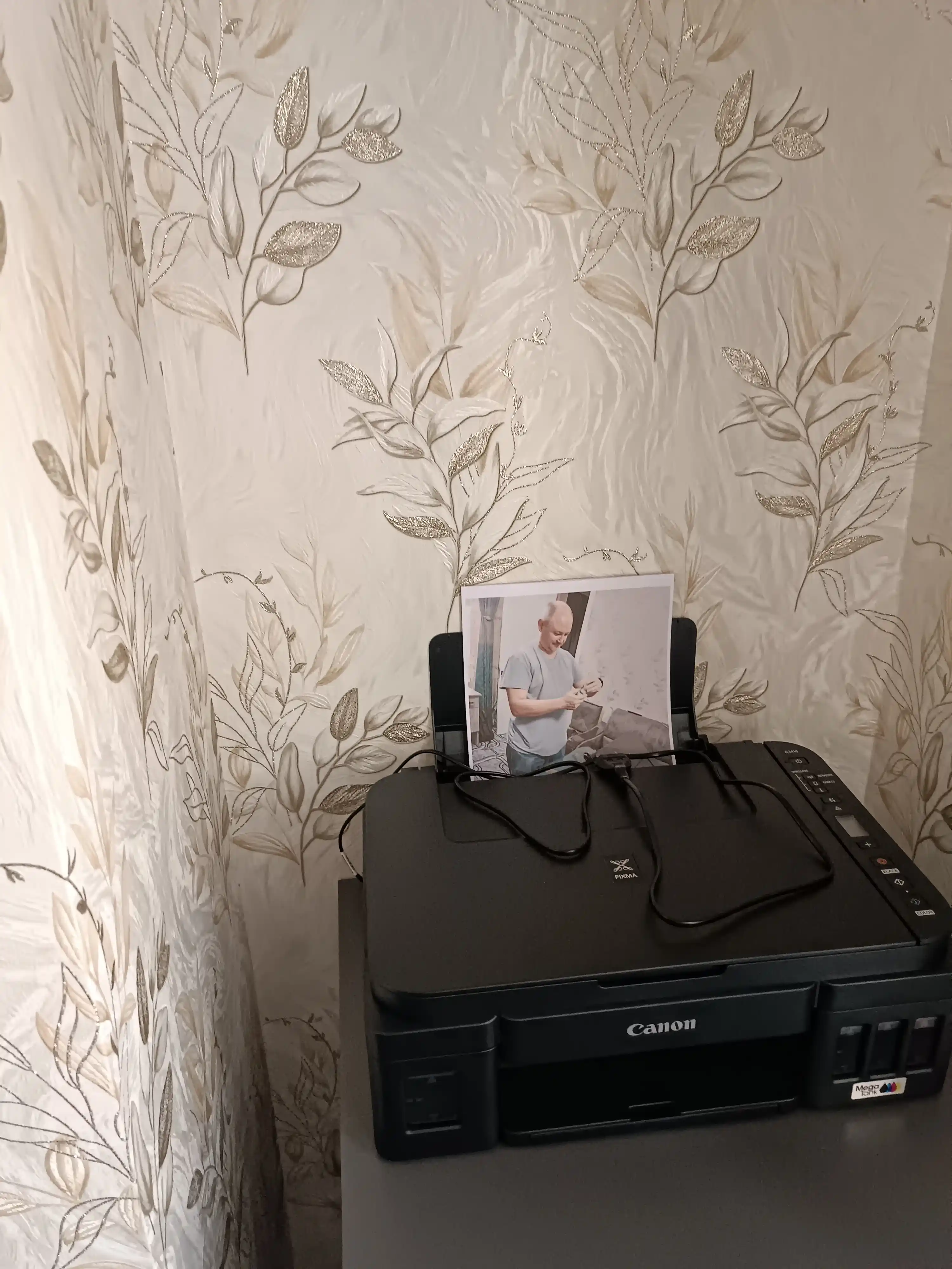 Цветной принтер Canon PIXMA G3410 3 в 1, Wi-Fi, сканер, печать и копирование