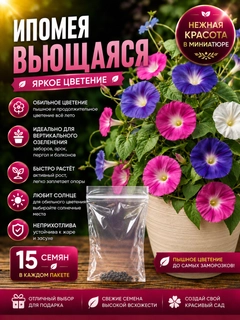Разноцветный
