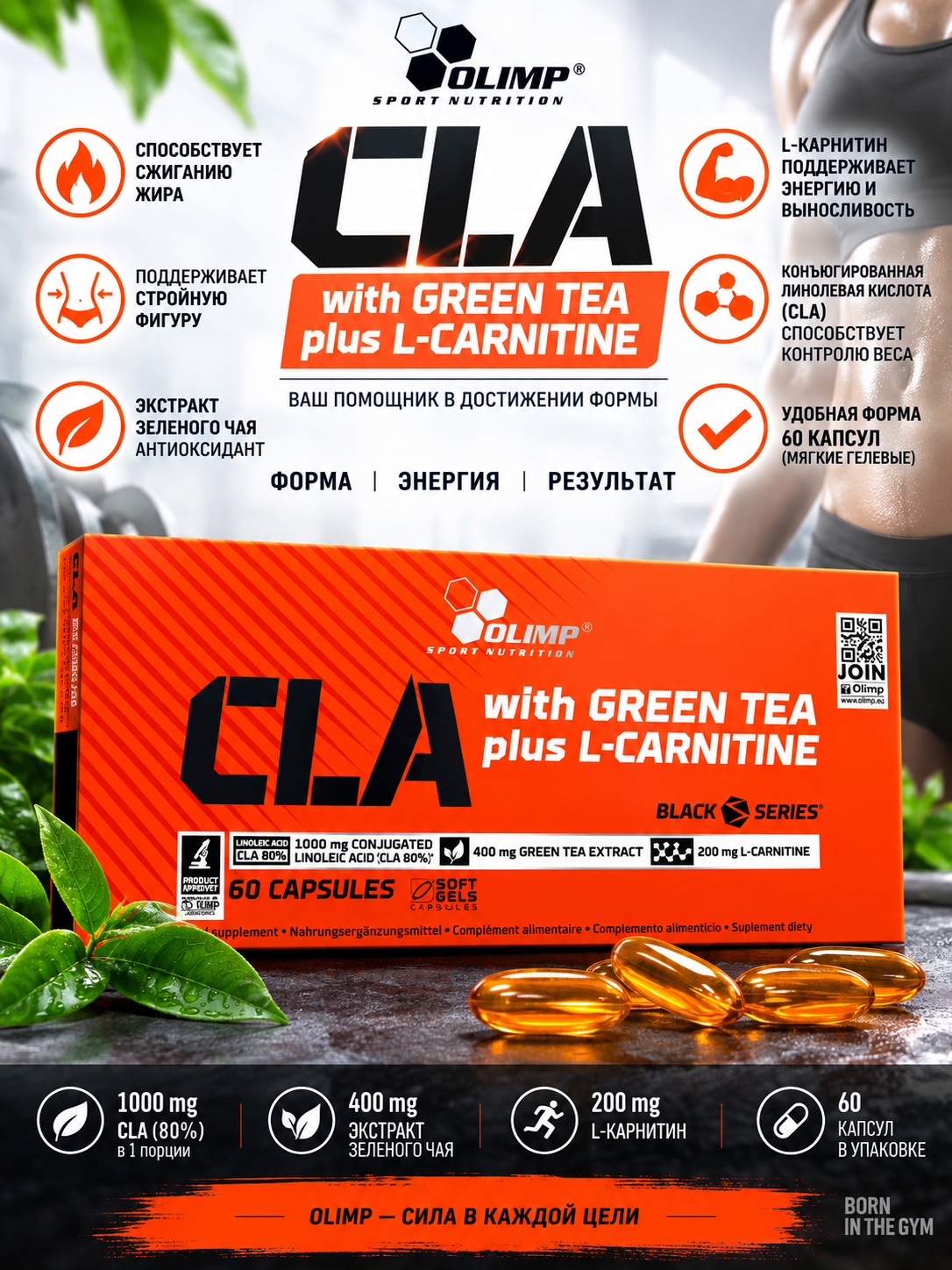 Olimp CLA with Green Tea plus L-Carnitine, 60 kapsula - 