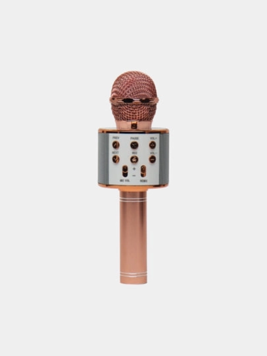 Mikrofon karaoke, simsiz Bluetooth kalonka, USB zaryadlash, qora qizil sariq