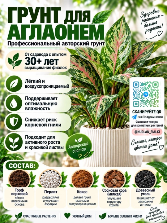 Профессиональный авторский грунт для аглаонем - 