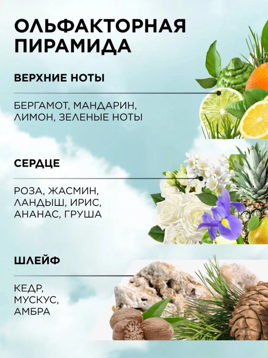 Ayollar atiri 50 ml, yashil gulli-sitrusli bergamot aromati