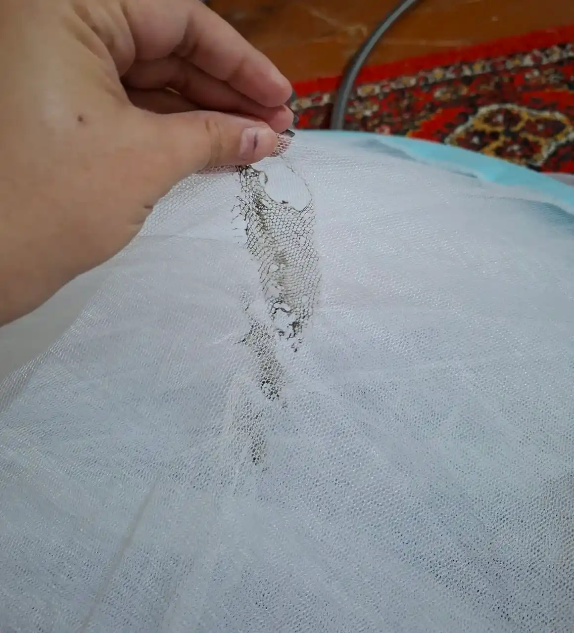 Chivinlarga qarshi to'r, pashshaxona 240 sm, ga 240 sm