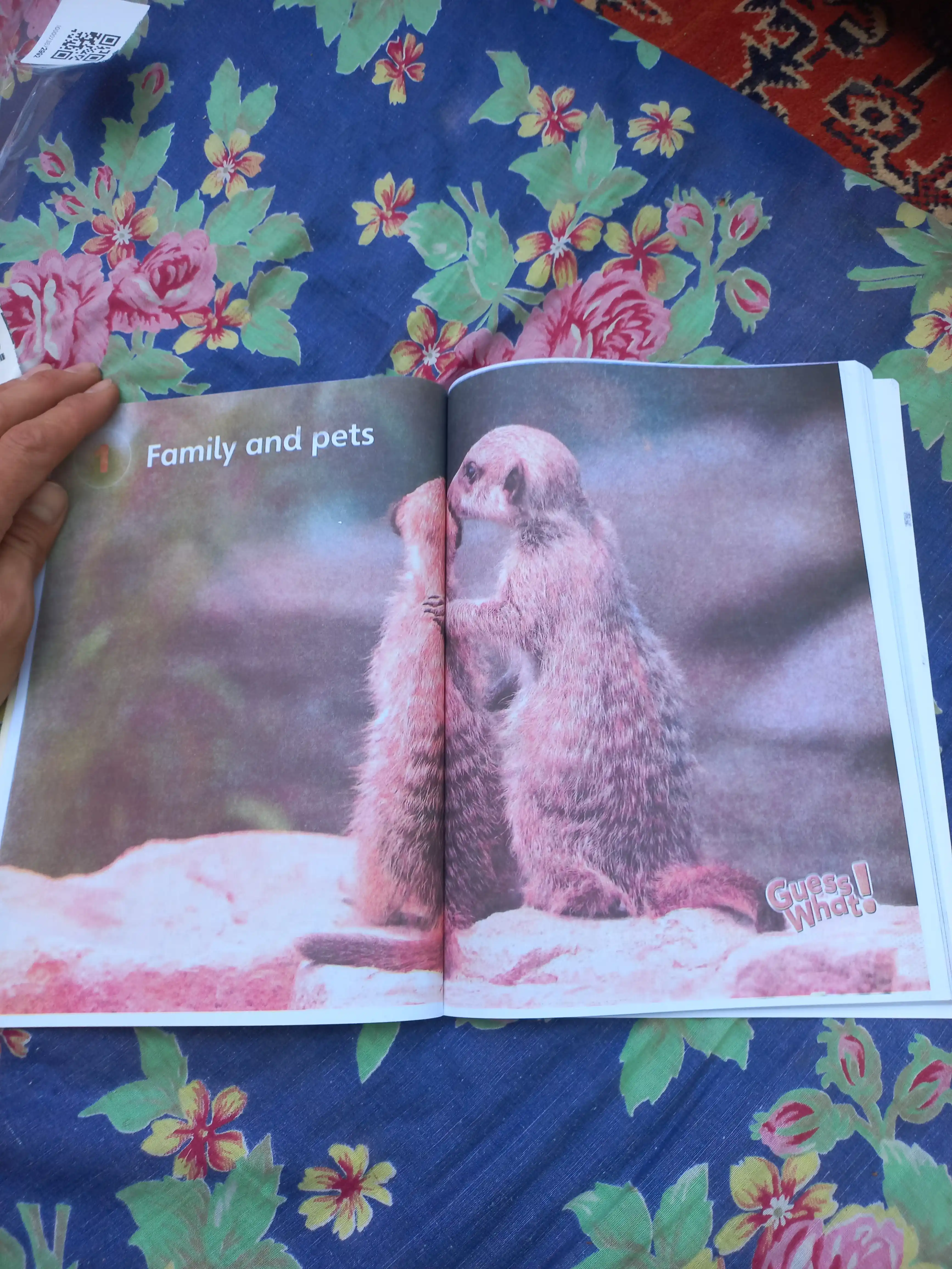 Guess What! Grade 1, 2, 3, 4, 5, 6, Student's book