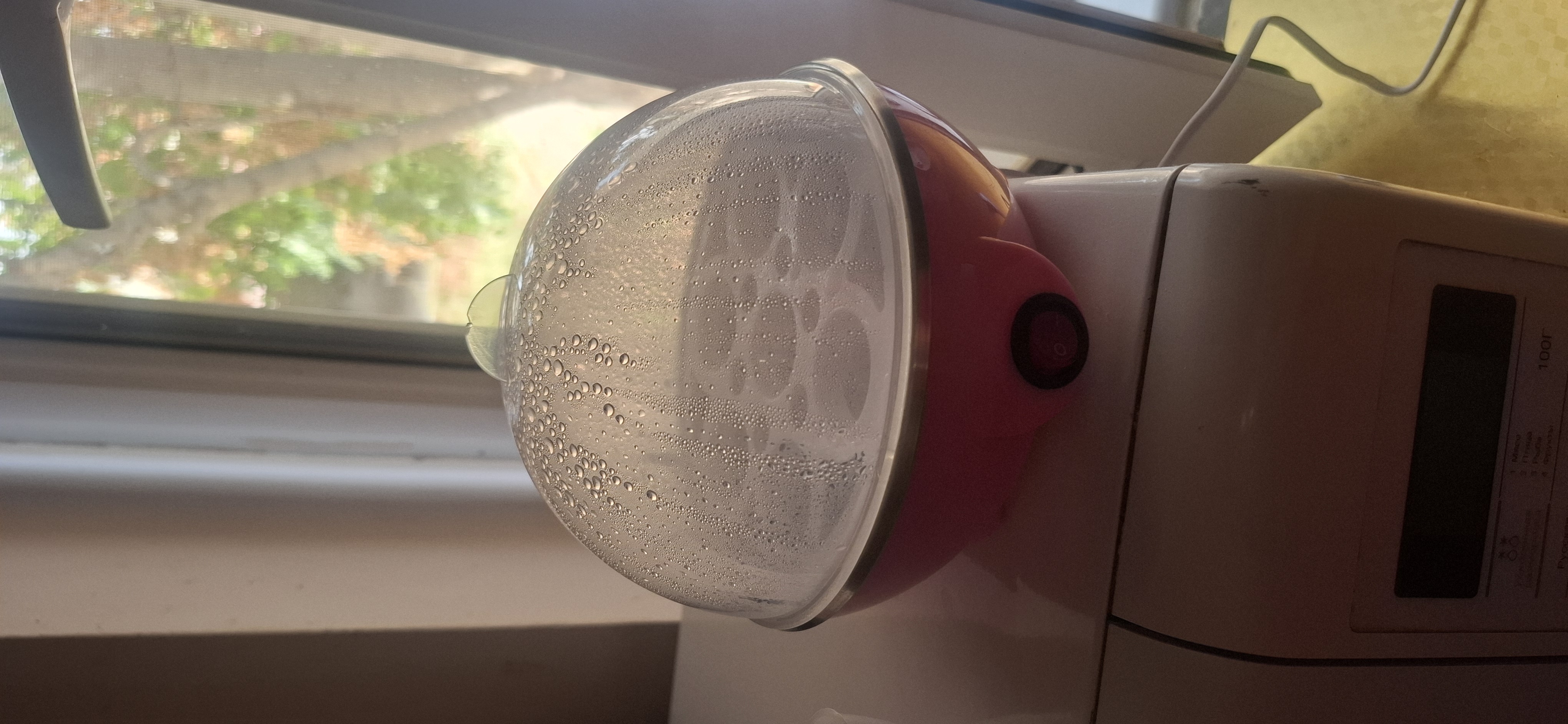 Bug'lagich, elektr tuxum pishirgich