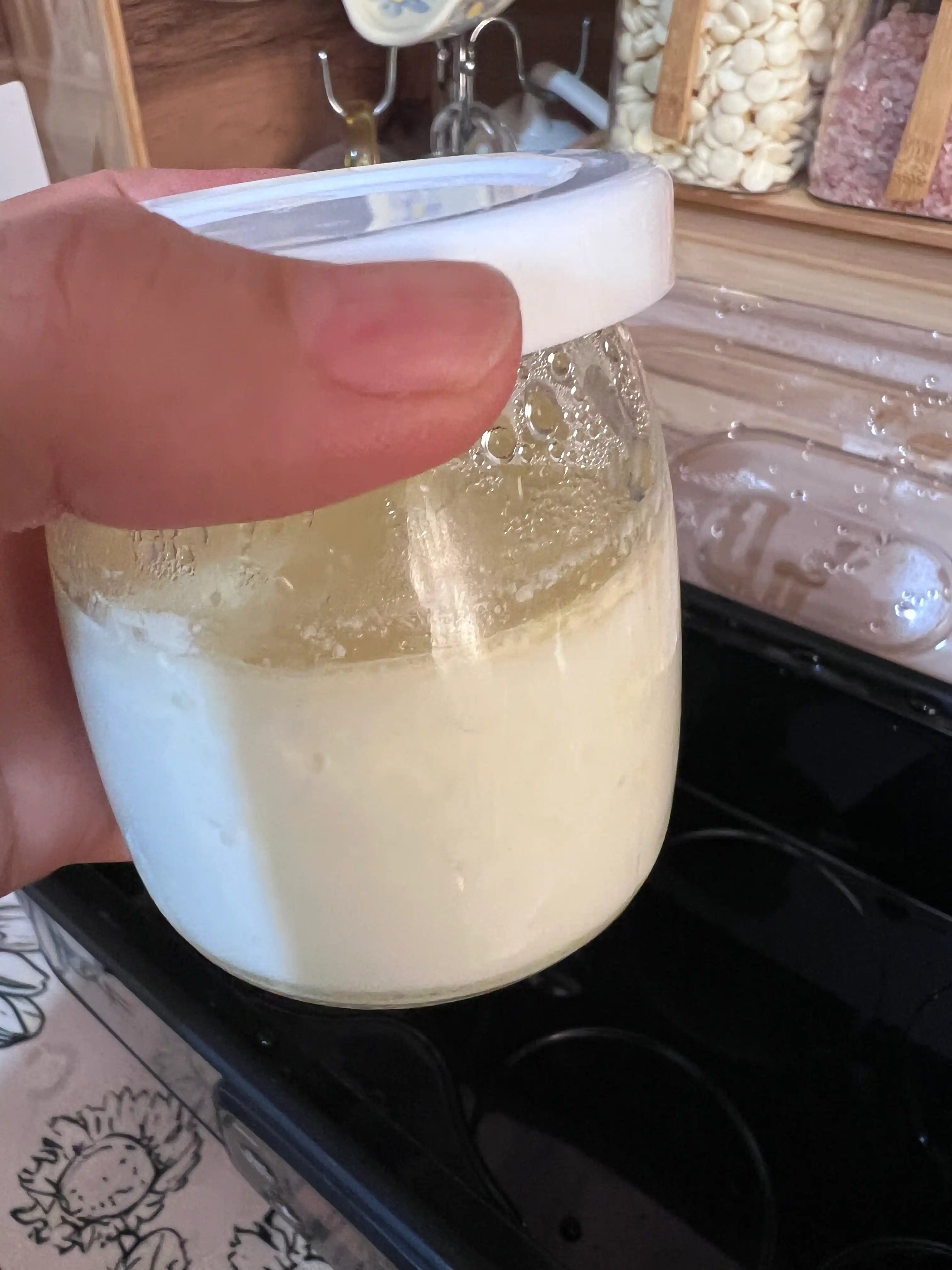 RAF yogurt ishlab chiqaruvchisi uyda yogurt tayyorlash uchun
