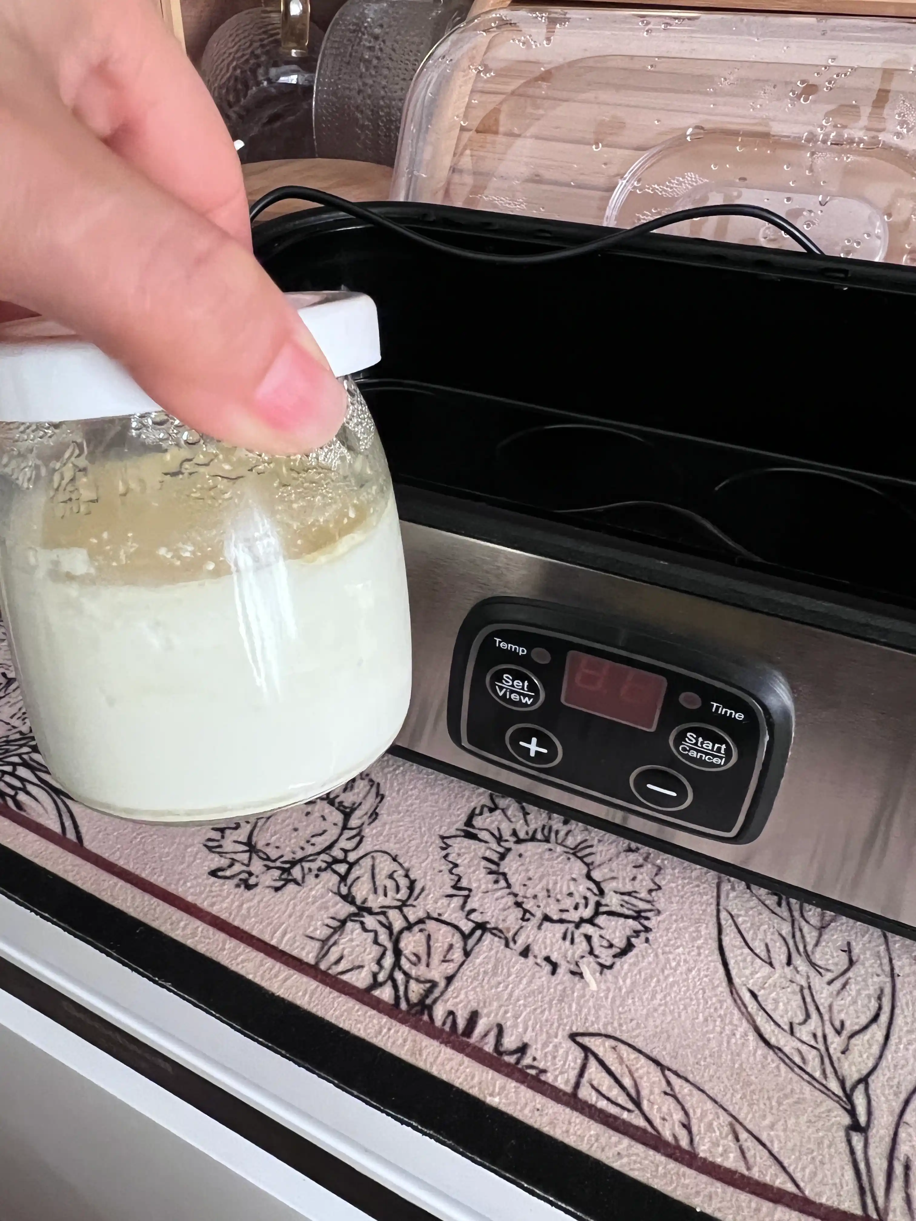 RAF yogurt ishlab chiqaruvchisi uyda yogurt tayyorlash uchun