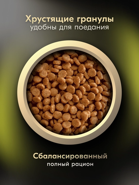 Lamour mushuklar uchun quruq yem tovuq go‘shtli, 350 gr