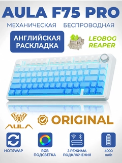 Oq