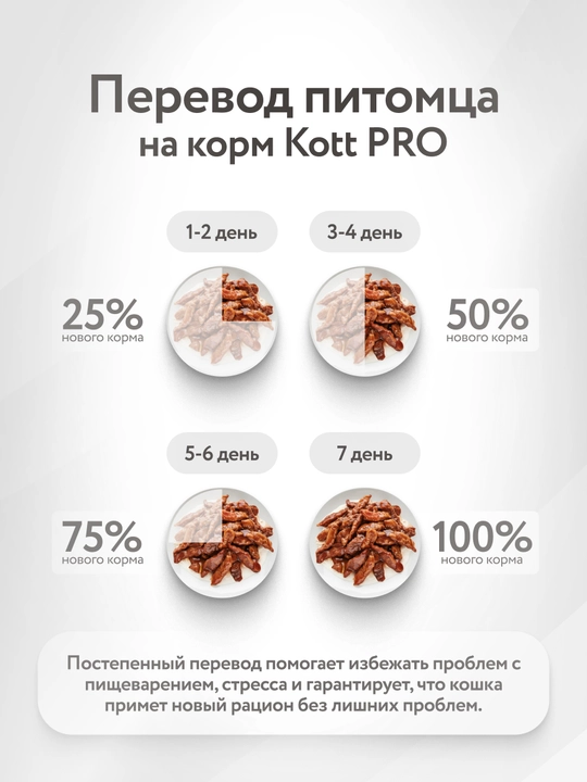 Kott Pro mushuklar uchun nam yem, kurka jelida 75 gr 28 dona