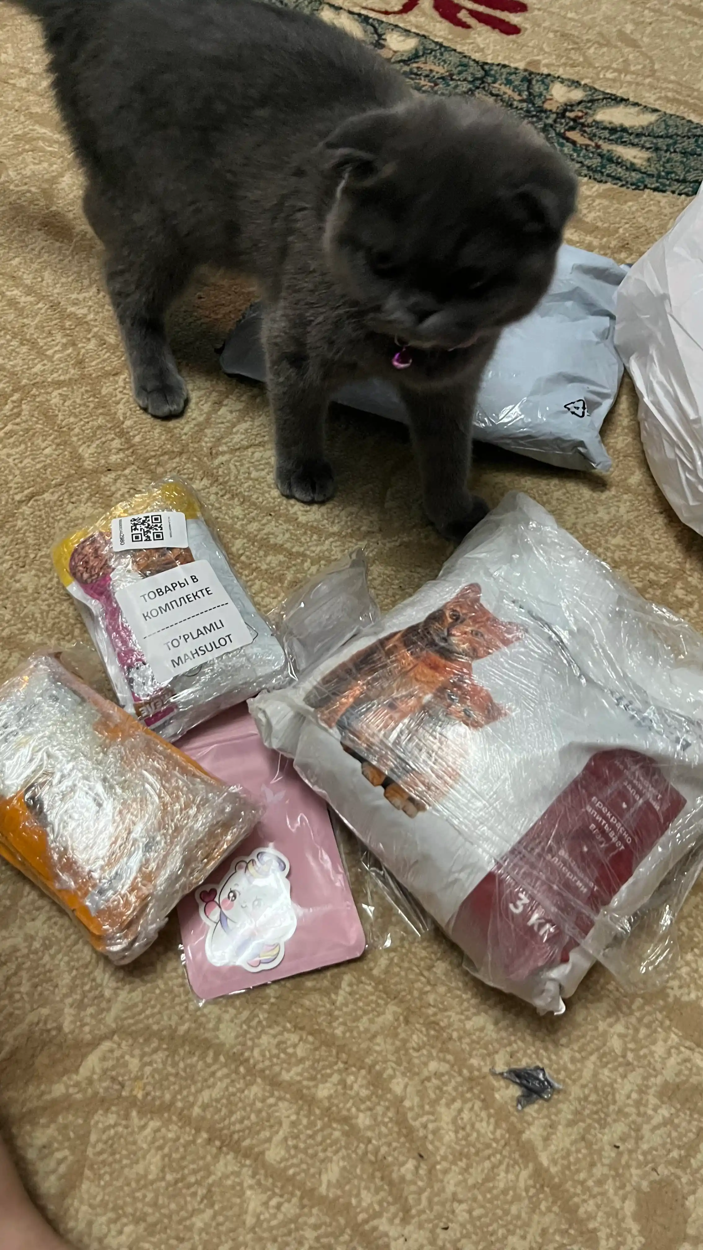 Lapka  mushuklar uchun nam yem sousli kurka bilan, 85 gr 5 dona