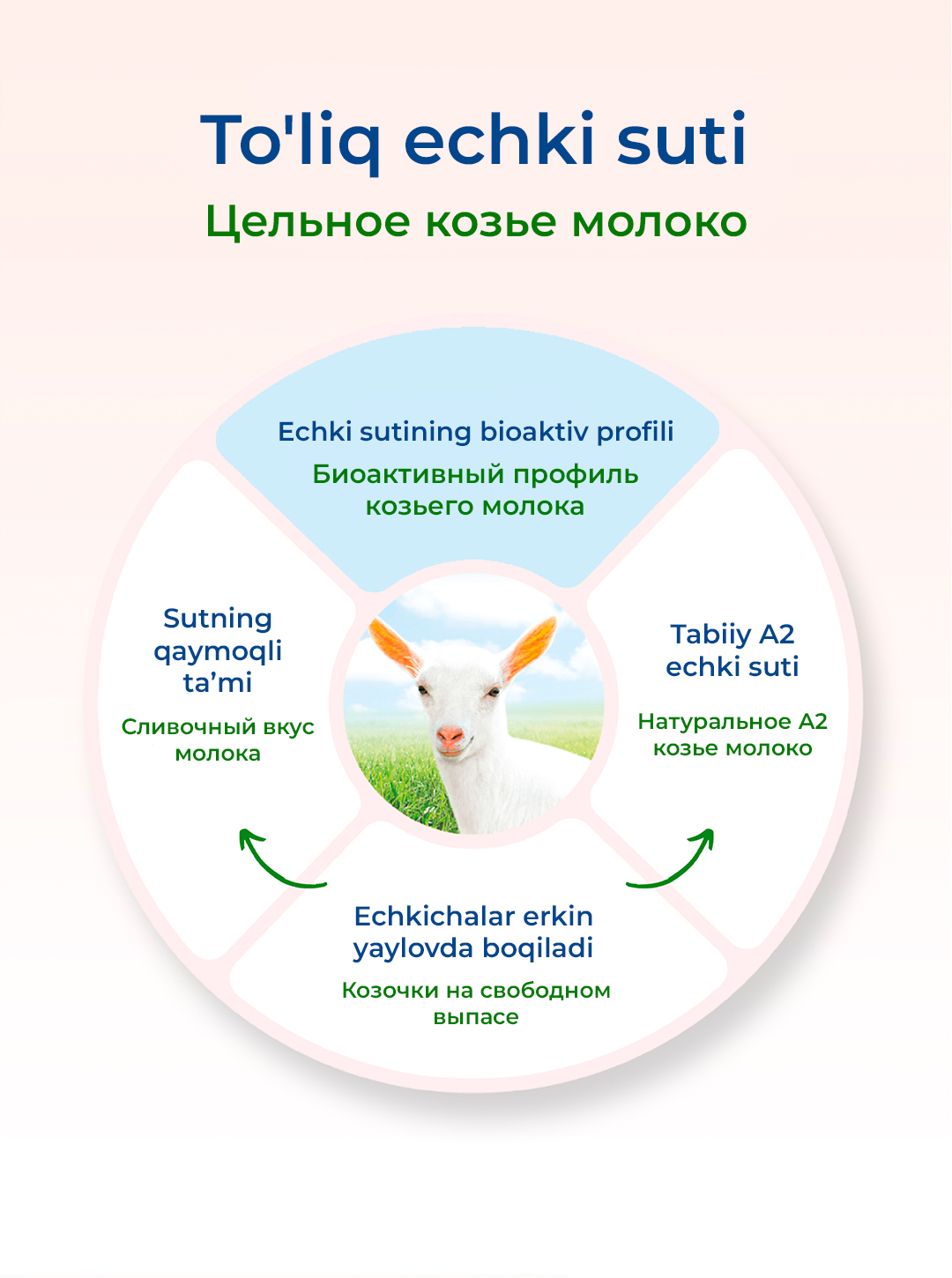 МАМАКО 2 с 2'FL (с 6 до 12 месяцев) 800 г