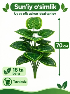 Binafsha