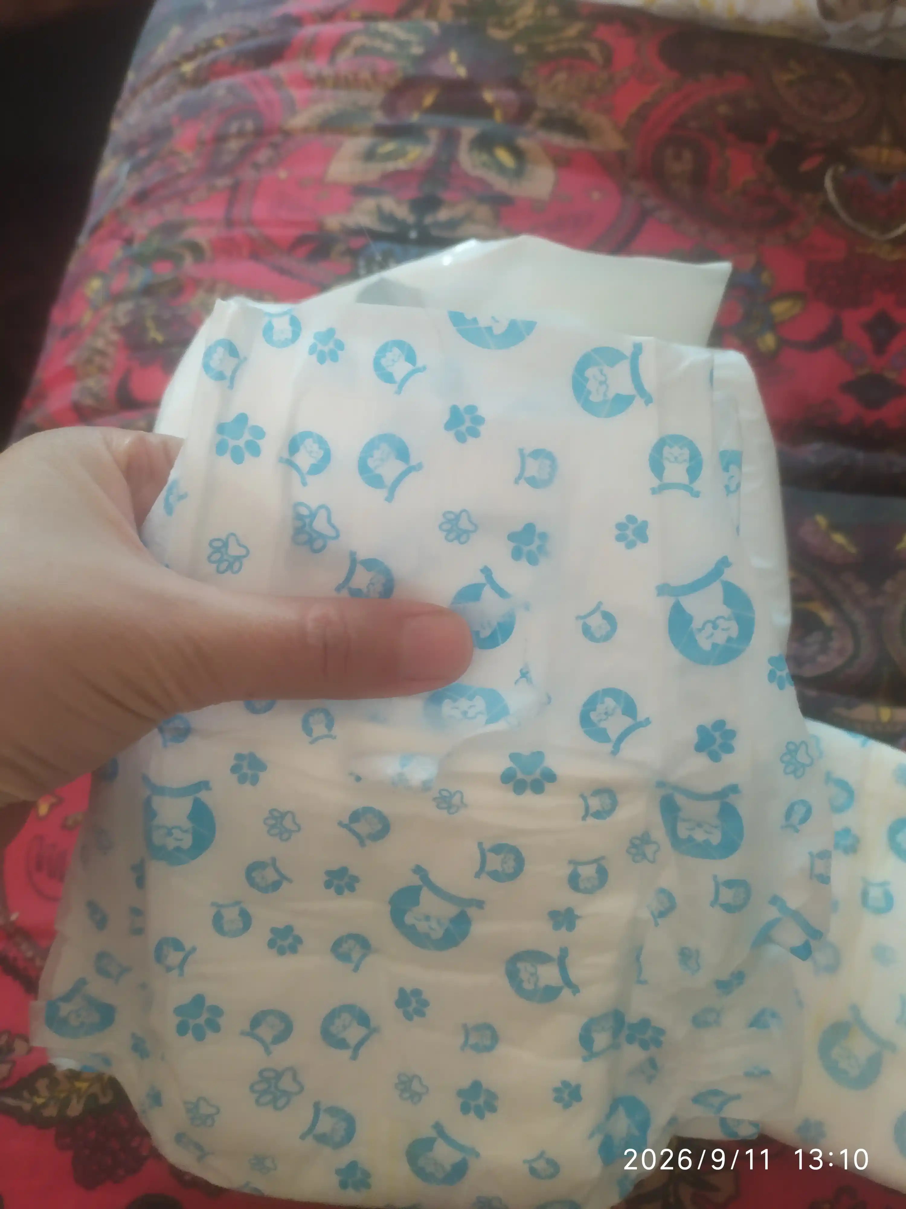 Mushuklar va itlar uchun bir martalik tagliklar, 12 dona, o'g'il bolalar uchun